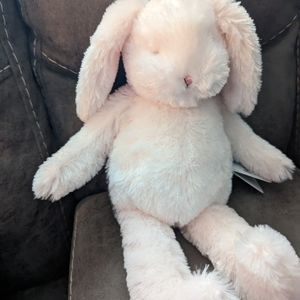 Stuffed Bunny